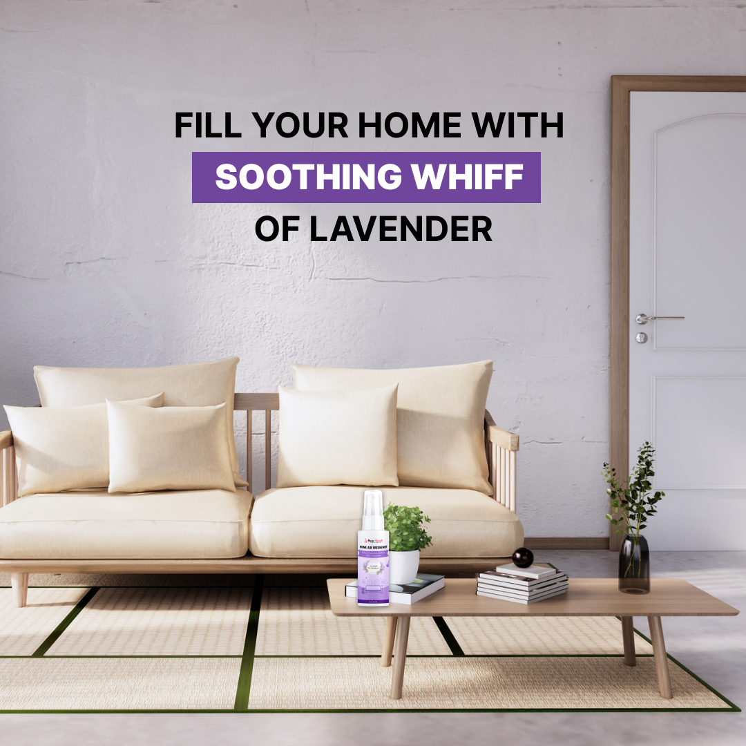 Lavender Home Air Freshener Fourth