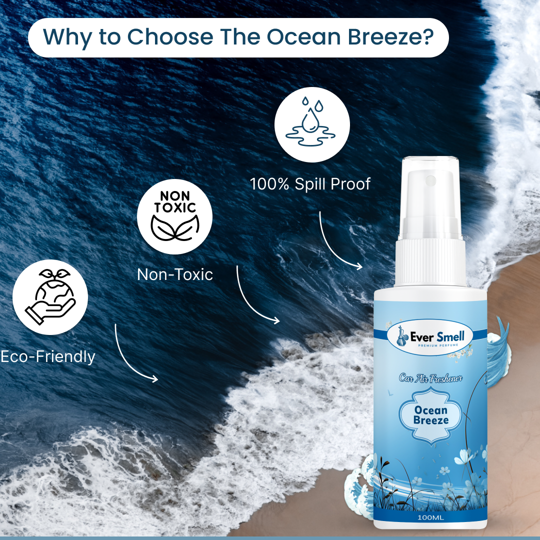 Ocean Breeze Car Air Freshener Third